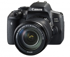 佳能（Canon）EOS 750D 单反套机 (EF-S 18-135mm f/3.5-5.6 IS STM镜头) 黑色